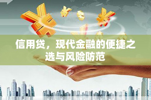 叙永信用贷，现代金融的便捷之选与风险防范