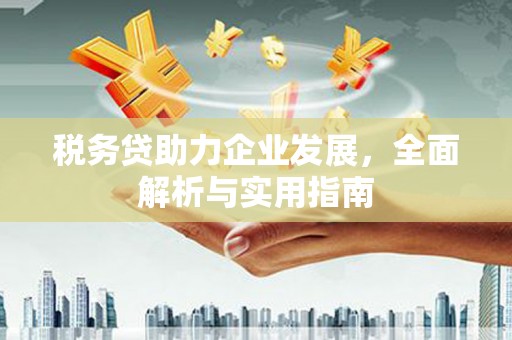 叙永税务贷助力企业发展，全面解析与实用指南