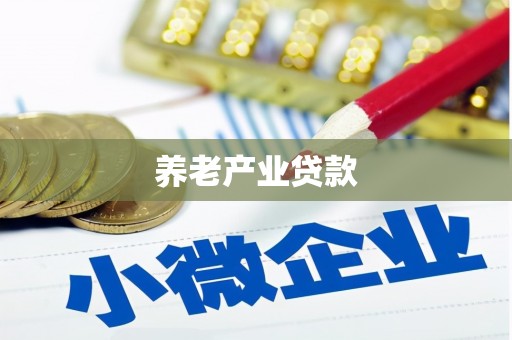 叙永养老产业贷款