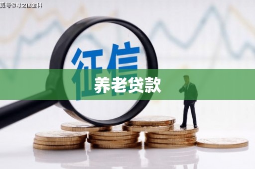 叙永养老贷款