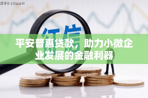 叙永平安普惠贷款，助力小微企业发展的金融利器