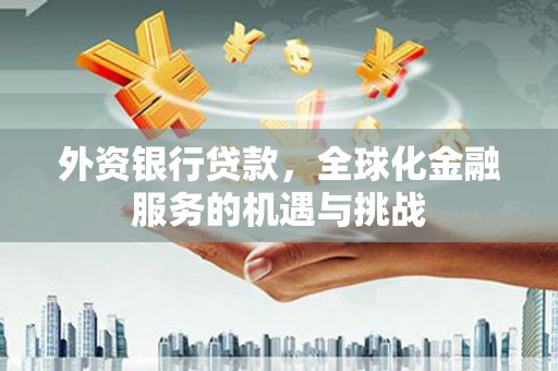 叙永外资银行贷款，全球化金融服务的机遇与挑战